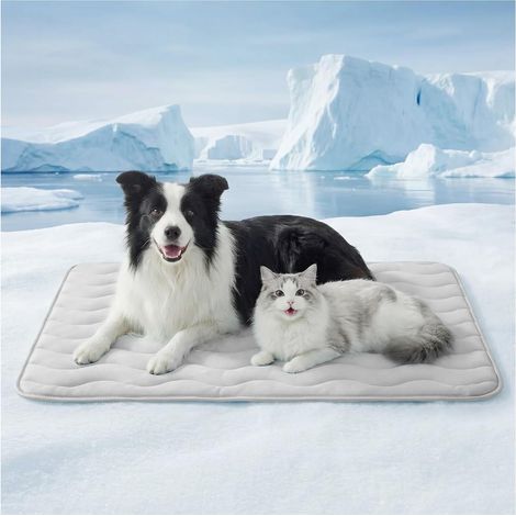 Tapis de refroidissement pour chien, adapté aux chiens de très grande taille, 121,92 cm x 76,20 cm, tapis de parc respirant et auto-refroidissant pour chiens et chats, tapis de refroidissement portabl (1/4)