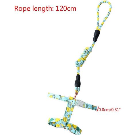 Harnais anti-fugue pour chats, gilet ajustable pour chiots, chiens et lapins (1/4)