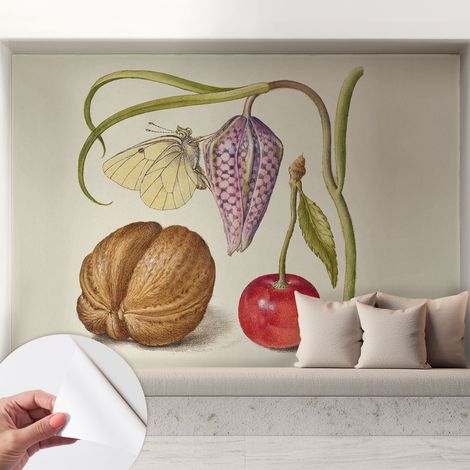 Papier peint autocollant avec imprimé pour cuisine facile à appliquer pour mur a motif Papillon et plantes 208x146 cm (1/5)