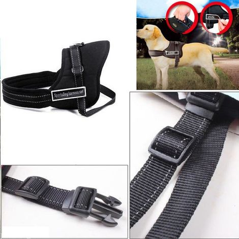 Trade Shop - Correa Entrenar Perros Arnés Collar De Perro Deportes Arnés De Perro Set -