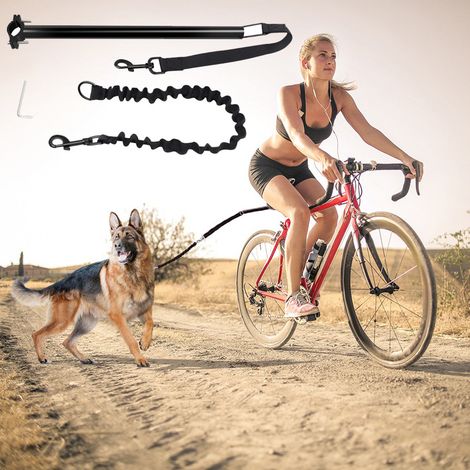 Fixation de laisse pour vélo — Laisse de traction pour chien à vélo avec amortisseur élastique (1/5)