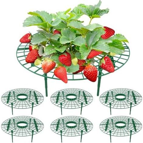 Strawberry Frame Support - Set of 6 Removable Supports for Strawberry Plants 30x10cm (1/5)