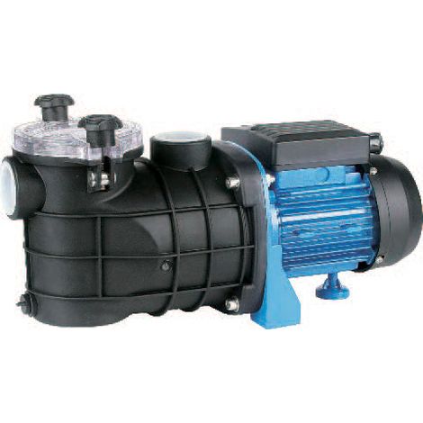 Elektrische Pumpe für Schwimmbad (1/2)