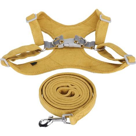Small dog harness without choking - Comfortable and breathable, vest-style with leash - Size XXS - Ginger (1/5)