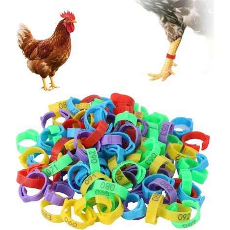100pcs Anneaux pour Pattes de Poulet, 5 Couleurs Réglables Bague Volaille avec Numéros de 1 à 100 Bracelet Poules pour Canards Dindes et Oies (1/5)
