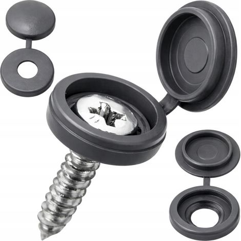 Capuchons pour vis 100 pièces C. gris (400) (1/5)