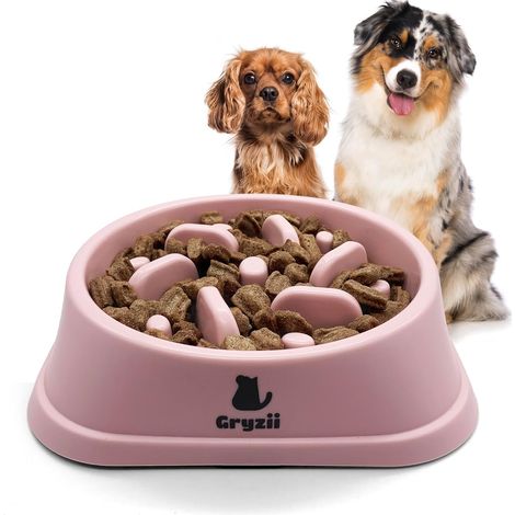 1 Gamelle Anti Glouton, Picots Intégrés, Pieds Antidérapants, Pour Chien Taille Moyenne