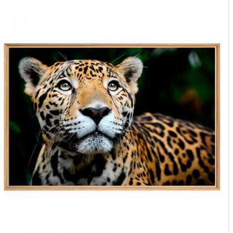 Tableau mural mat encadré leopard 65x97 cm - Tableau Mural Décoratif - Image Encadrée Imprimée en HD - Impression 65x97 cm sur Fibres de Bois FSC - Finition Mate - Fabriqué en France (1/5)