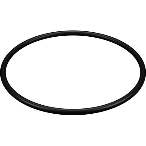 Joint de couvercle pour filtre Hayward ® Star Clear II (1/3)