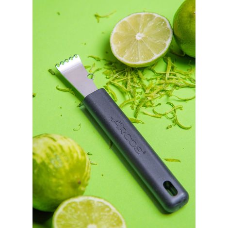 Rallador de Limones Arcos 612800 con hoja de acero inoxidable y mango de Polipropileno de 40 mm con funda display (1/5)