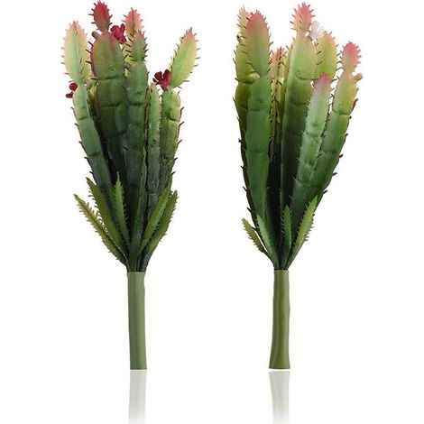 Cactus artificiel réaliste : décoration intérieure à faire soi-même, composition florale authentique et durable (1/4)