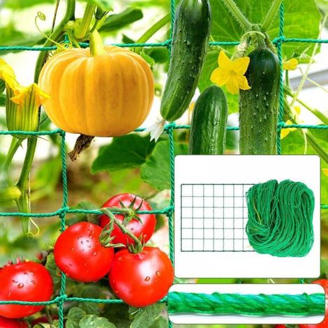 Filet Concombre,Filet Plante Grimpante 2 M x 10 M,pour Serre, Tomates,Plantes Grimpantes (1/5)