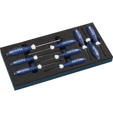 Módulo de herramientas 9 piezas.Módulo 1/3 T 6-T 30 TECWERK (1/2)