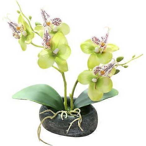 Orchidée papillon artificielle, bonsaï, fausse fleur, décoration pour la maison ou le bureauvert (1/5)