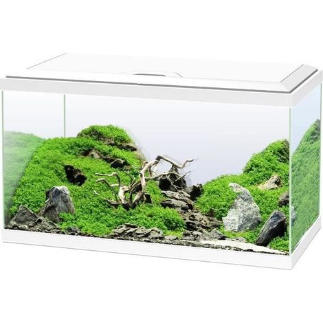 Acuario Ciano ciano filtro CF80 calentador 50W (1/5)