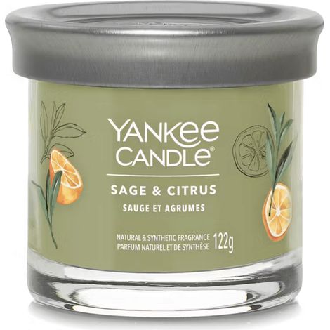 Candela Yankee Candle al profumo di salvia e agrumi, 122 g