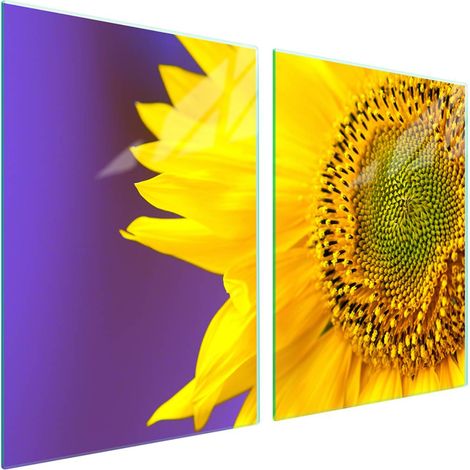 Plaque de protection en verre pour poêle 2x45x52 Fleur (1/5)