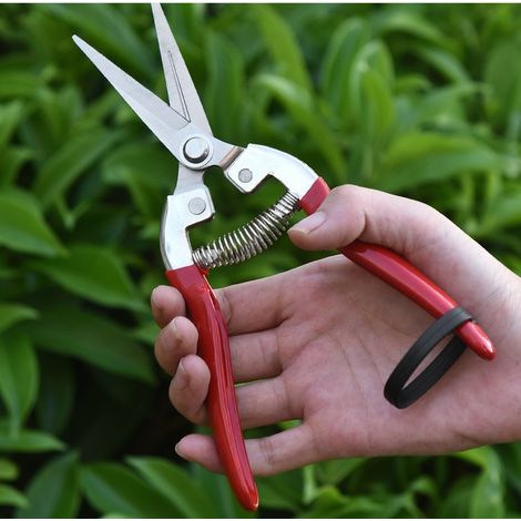 Sécateur de précision, lame en acier inoxydable, ciseaux de jardin, pour fruits, fleurs, herbes, légumes hydroponiques et raisins (1/5)