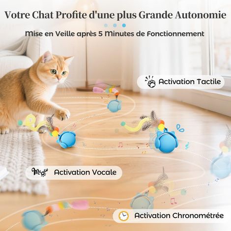 Jouet interactif pour chat balle intelligente avec plume jouet électronique automatique avec évitement d'obstacles et 3 modes de jeu pour chaton (1/5)