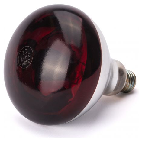 Ampoule infrarouge rouge E27 250W pour chauffe-plats (1/3)