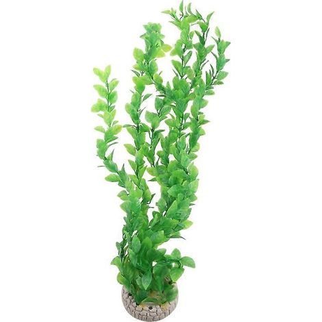 Voici un titre produit optimisé en français (moins de 190 caractères) :

Plante aquatique artificielle verte, petit décor pour aquarium, cachette idéale, paysage pour embellir et aménager votre aquari
