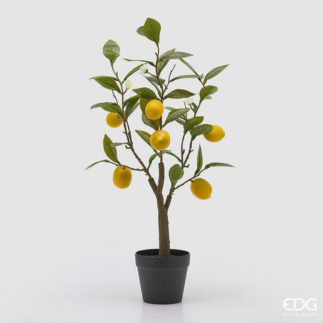 EDG Enzo De Gasperi Limone con Vaso e Foglie x6 Pianta Artificiale H 60 Cm Verde Giallo