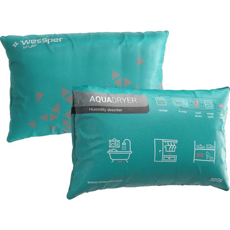 Déshumidificateur, Dégivreur, Réutilisable, Absorbeur d'Humidité en Gel de Silice, Désodorisant pour Voiture, Empêche Buée, Condensation et Gel sur les Vitres, Blanc (1/5)