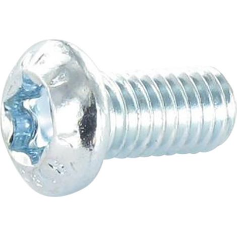 Vis métaux Tête bombée TORX T30 M6X20 Classe 8.8 Acier zingué-30 pièces