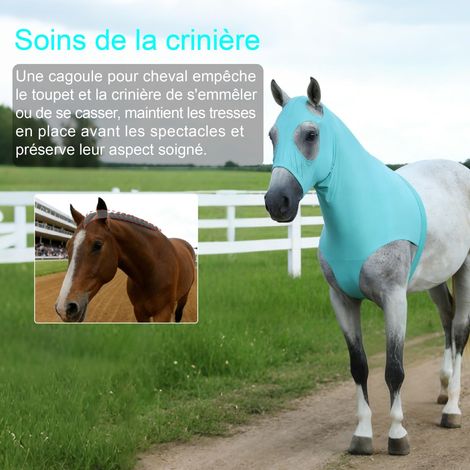 Cagoule pour Cheval Lycra Protection Crinière et Tête Anti-Frottement Élastique Anti-Mouches pour Équitation