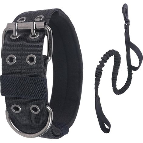 pour Chiens Ajustable avec Laisse Et Boucle MtalliqueCollier (1/5)