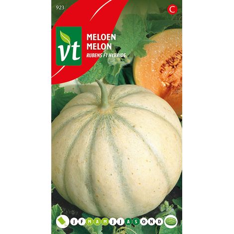 Melon Stellio F1 Hybride - Ca. 0,3 gr (Livraison Gratuite) (1/2)