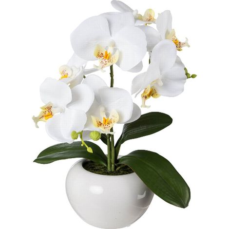 GASPER Schmetterlingsorchidee - Phalenopsis Weiß im Keramiktopf 35 cm - Kunstpflanzen (1/2)