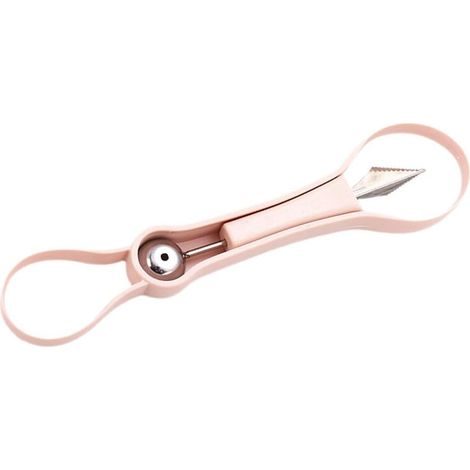 Cuillère à Melon Facile Nettoyer Multifonction en Acier Inoxydable et (1/5)