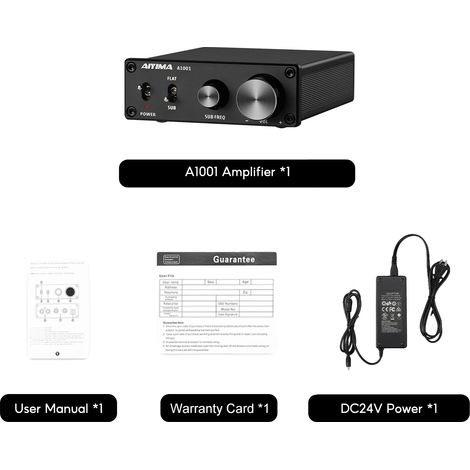 Subwoofer-Verstärker, 100W Ausgangsleistung, Mono-Kanal, A1001 mit 24V 4A (1/2)