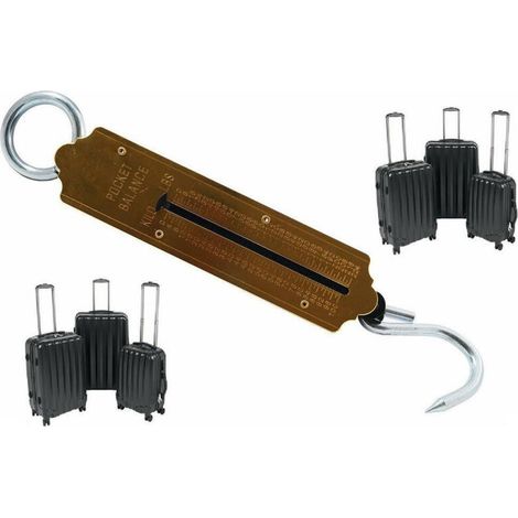 équilibre Dynamomètre à Molette Mécanique Jusqu'à 100 Kg équilibre Poids Bagages 100 Kg (1/2)