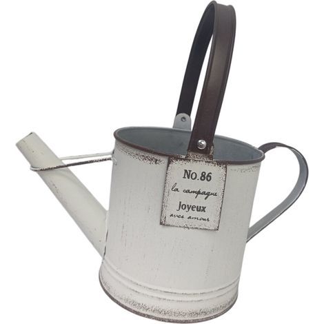 Arrosoir en métal rouillé, Pot de fleur parfait pour la (1/2)
