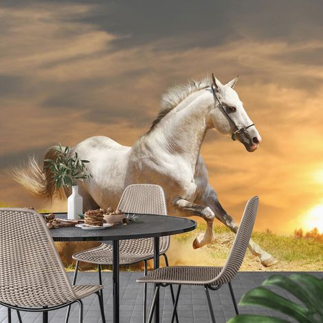 Papier peint panoramique - Cheval - 130 cm x 86 cm (1/4)