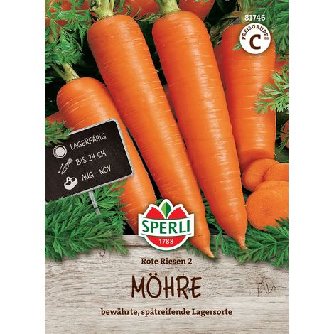 Sperli – Carotte « Rote Riesen 2 » – Graines de légumes, pour env. 12-15 mètres linéaires (1/2)