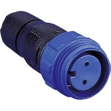 Bulgin PX0411/02S/5560 Cosse cylindrique mâle mâle, droit Nombre total de pôles: 2 Série (connecteur rond): PX04 1 pc(s (1/2)