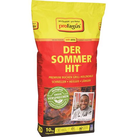 Holzkohle Sommerhit 10 kg aus Buchenholz, 30 Btl./Pal