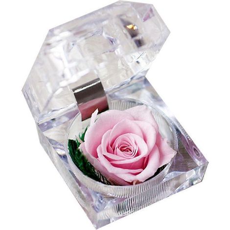 1 rose fraîche préservée sous cloche en verre avec décoration de ruban - Cadeau idéal pour la Saint-Valentin, un anniversaire ou toute autre occasion (rose clair)-7.75.5cm (1/2)