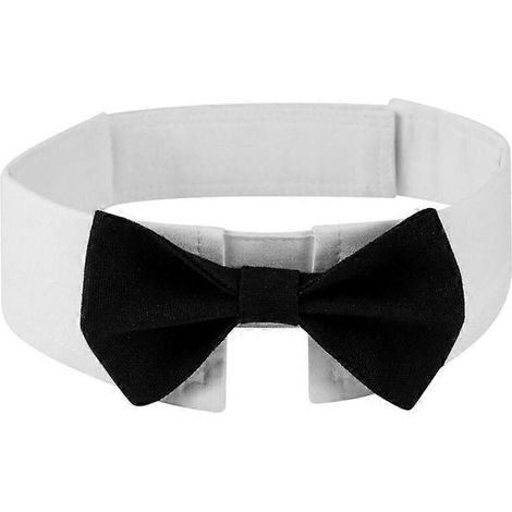 Collier pour chat, nœud papillon pour chien, collier cravate formelle, accessoire décoratif pour animaux, accessoire photo pour animaux, noir taille S. (1/4)
