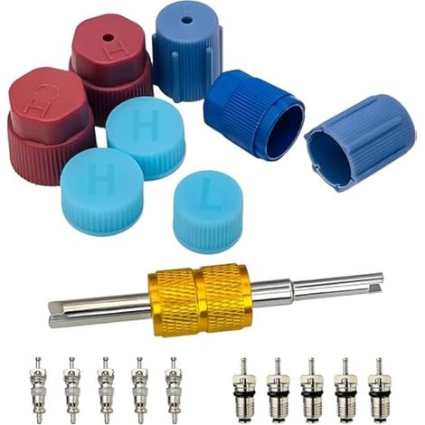 Kit de noyau de valve de climatisation, bouchon et valve de système de climatisation joint A/C R12 R134a noyau de valve de réfrigération Rmover systèmes AC Kit de bouchons de port de charge (1/5)