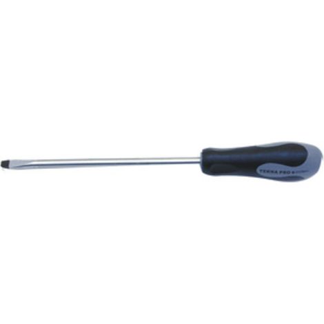 CACCIAVITE 101 TEKNA P/MECCANICO D  3,0X 75 MM Q.TA 12