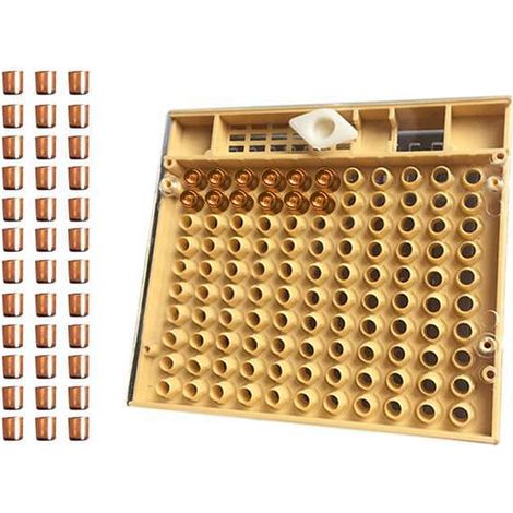 Un ensemble d'outils apicoles pour couvercles de cellules royales en plastique, couleur comme indiqué.