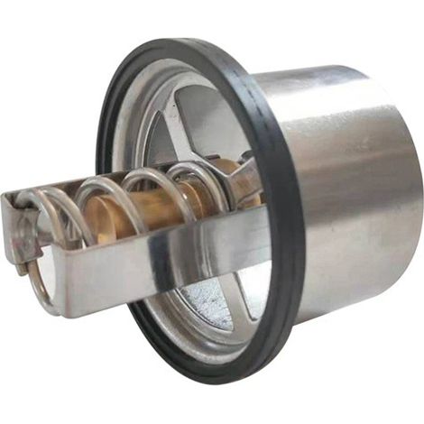 Zwei Thermostate mit der Bezeichnung 94810612501 sind für Porsche Cayenne Thermostate geeignet. (1/4)