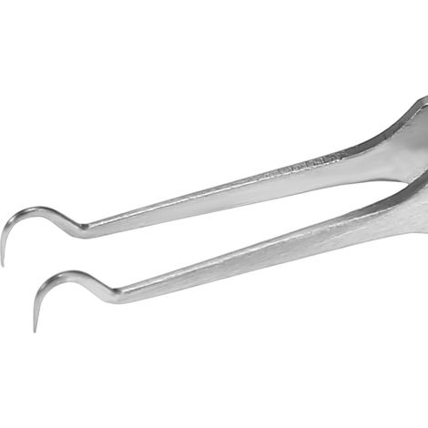 Mitesserpinzette aus Edelstahl – Manuelle Mitesserentfernung (8,7 cm, gebogene Spitze)