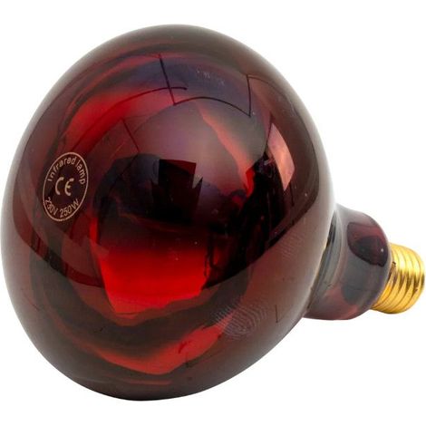 Ampoule infrarouge 250 W rouge UKAL (1/4)