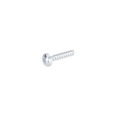 Vis a tete bombee torx pour Visseuse perceuse BOSCH OUTILLAGES - 2603415206