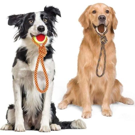 Giocattolo per cani in corda di cotone 100%, benefico per la salute mentale e dentale e aiuta a pulire i denti. Lunghezza: 28 cm.